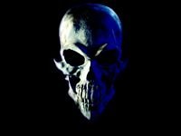 pic for 3d Skull The Best